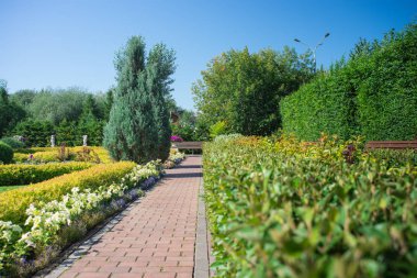 park yeşil çalılar, çiçekler ve ağaçlar, mavi gökyüzü ve banklar arasında şehir Park arnavut kaldırımlı yol