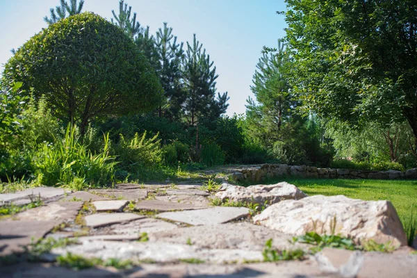 Güneşli bir yaz gününde Park'ta yürümek ve dinlenmek için ağaçlar arasındaki taş yol