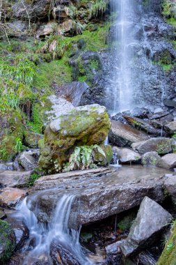 Goathland North York Moors içinde Mallyan emzik şelale