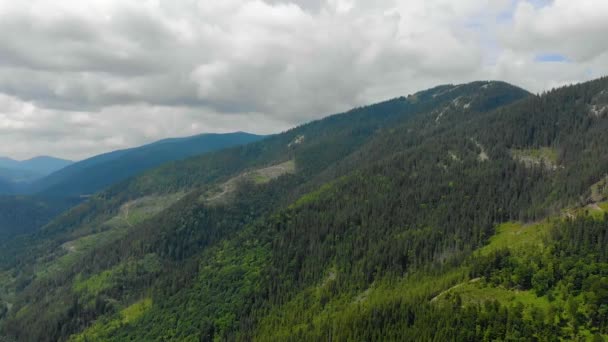 Carpathian berg med en höjd av fågelflyg — Stockvideo