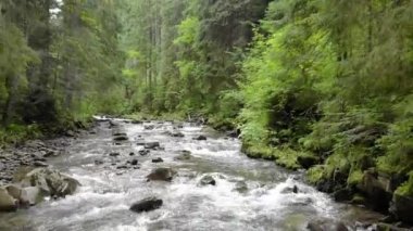 Dağ nehir orman üzerinde