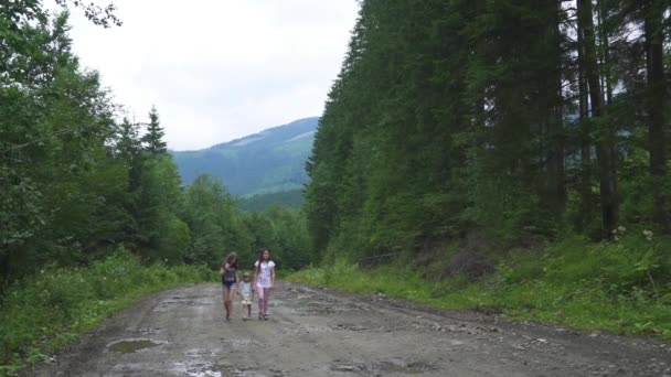 Meninas caminham na floresta — Vídeo de Stock