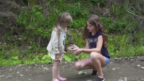 Mariposa Chica Muestra Más Joven Hermana Fullhd — Vídeo de stock