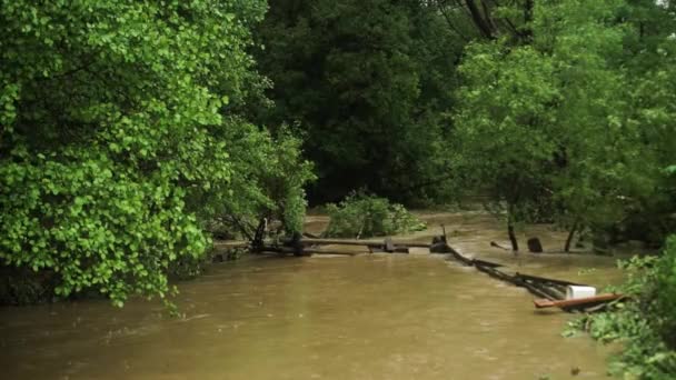 自然災害だ 速く流れる荒れ狂う川 土や泥が下に向かって動いています 強い雨の後 — ストック動画