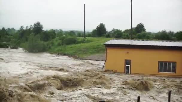 Přírodní Katastrofa Špinavá Voda Silném Dešti Kataklyzmat Záplavy — Stock video