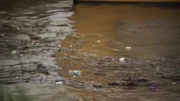 自然灾害 急流汹涌的河流 土壤和泥土正在向下移 大雨过后 洪水淹没了 — 图库视频影像