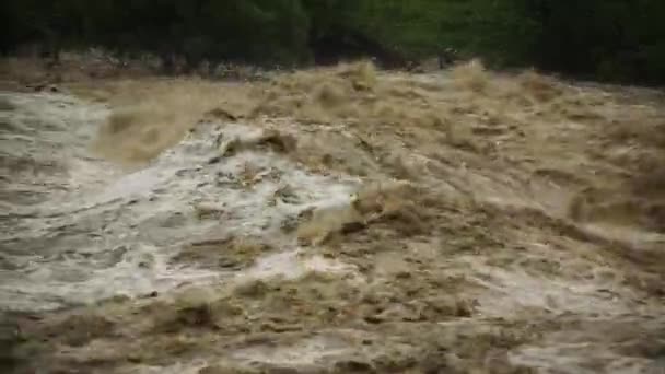 Φυσική Καταστροφή Βρόμικο Νερό Μετά Από Δυνατή Βροχή Κατακλυσμός Πλημμύρα — Αρχείο Βίντεο