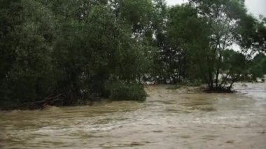Doğal afet. Kirli su. Şiddetli yağmurdan sonra. Felaket. Sel baskını. .
