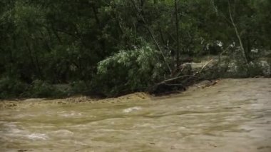 Doğal afet. Kirli su. Şiddetli yağmurdan sonra. Felaket. Sel baskını. .