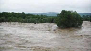Doğal afet. Kirli su. Şiddetli yağmurdan sonra. Felaket. Sel baskını. .