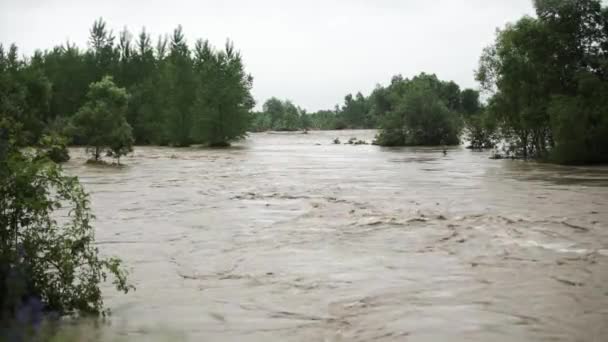 Přírodní Katastrofa Rychle Tekoucí Zuřící Řeka Půda Bahno Sunou Dolů — Stock video