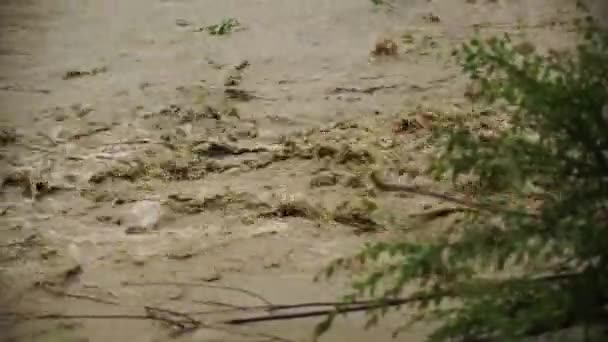 自然災害だ 汚い水だ 大雨の後 天変地異洪水 — ストック動画