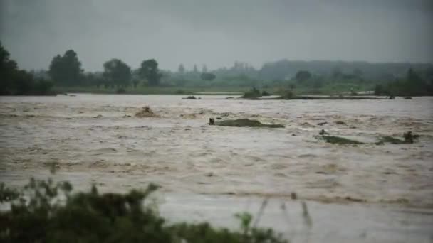 Katastrofa Naturalna Szybko Płynąca Szalona Rzeka Gleba Błoto Schodzą Dół — Wideo stockowe
