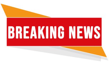 vektör modern düğme son dakika haberleri