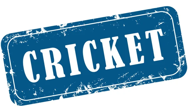 Web Nieczysty Pieczęć Sport Cricket — Zdjęcie stockowe