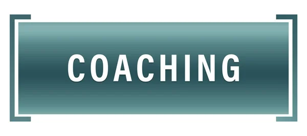 Coaching Web sticker knop — Stockfoto