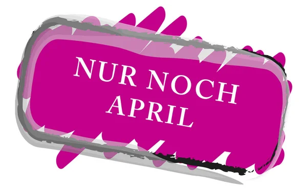 Nur noch｜April Webシールボタン — ストック写真