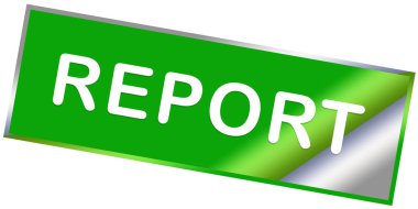 Rapor Ağı Yapıştırıcı Düğmesi