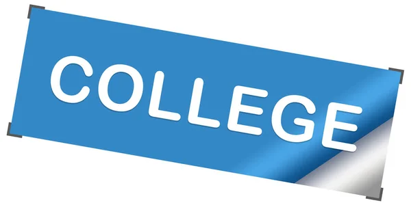 College web Sticker Button — Stock Photo, Image