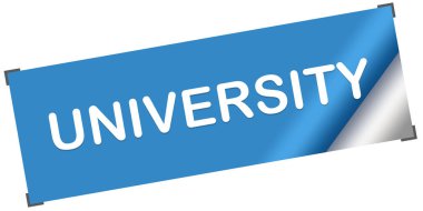 Üniversite Web Yapıştırıcı Düğmesi