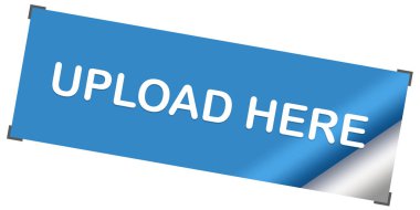 Web Yapıştırıcı Düğmesini Güncelle