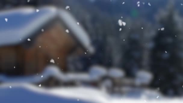 降雪的冬季景观 — 图库视频影像