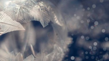 Bokeh ile Noel Kış ışıkları