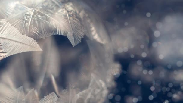 圣诞冬灯和冰 — 图库视频影像