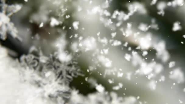 Fondo Invernale Con Nevicate Cristalli Ghiaccio — Video Stock