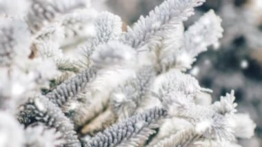 kar yağışı ile ağaç üzerinde kar