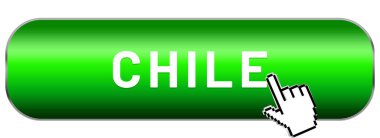 web Etiket Sticker Şili