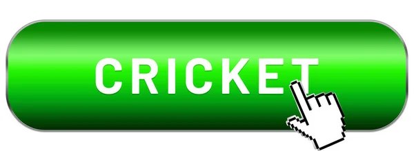 Web Sport Label Cricket — Stock Photo, Image