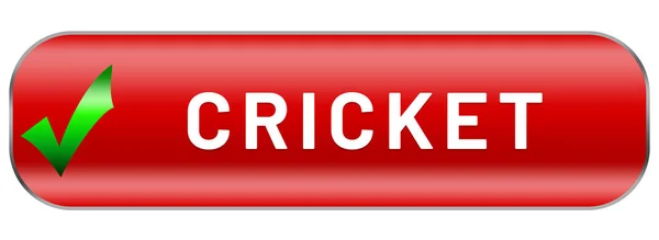 Web Sport Label Cricket — Stock Photo, Image