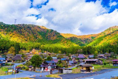 Renkli yaprakları olan editoryal sonbahar manzarası