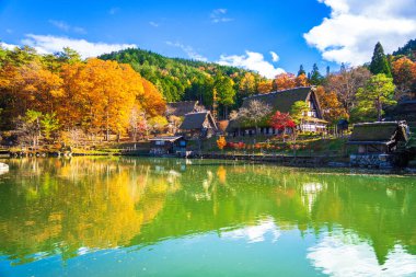 Renkli yaprakları olan sonbahar mevsimi manzarası