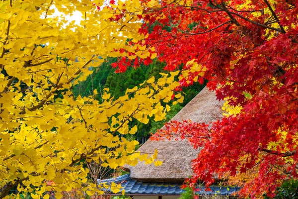 Editorial Herbst Saison Landschaft Mit Bunten Blättern Hintergrund — Stockfoto