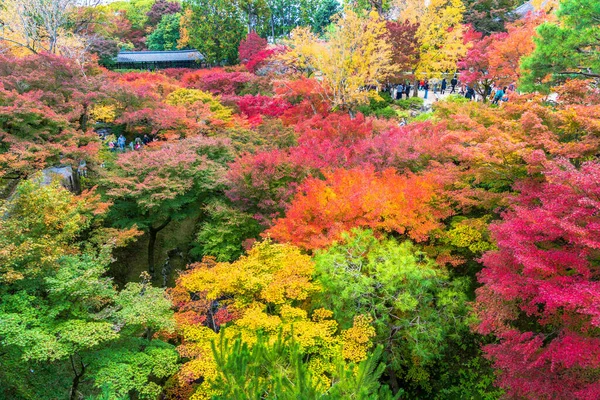 Editorial Automne Saison Paysage Avec Fond Feuilles Colorées — Photo