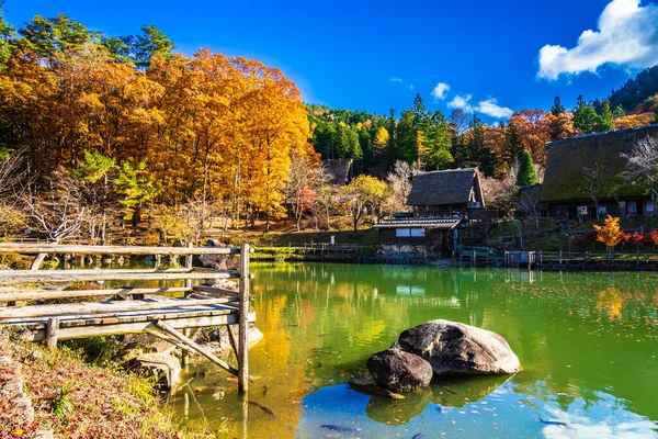 Outono Temporada Paisagem Com Fundo Folhas Coloridas — Fotografia de Stock