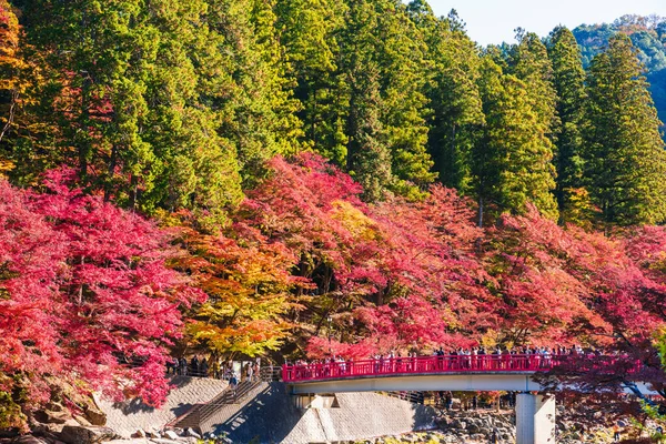 Редакционный Осенний Пейзаж Фоне Цветных Листьев — стоковое фото