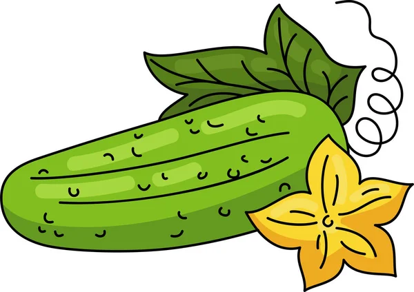 Cucumber Vegetables Healthy Food Diet Vegetarian Meal Healthy Lifestyle — Stock Vector