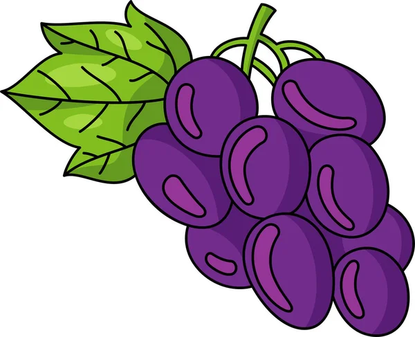 Grape Fruits Healthy Food Healthy Lifestyle Vegetarian Meal Vegan Food — Stock Vector