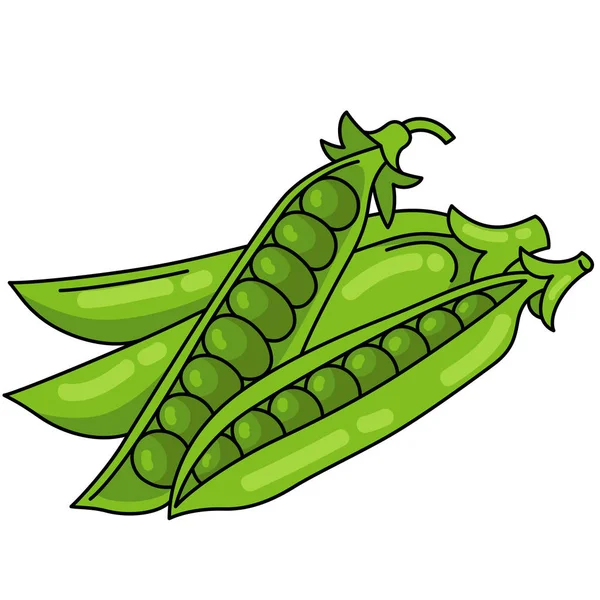 Bezelye. Sebze. Sağlıklı Gıda. Diyet. Vejetaryen yemeği. Sağlıklı Yaşam Tarzı.