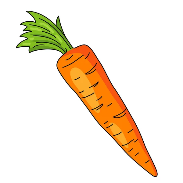 Καρότο Λαχανικά Υγιεινό Φαγητό Διατροφή Χορτοφαγικό Γεύμα Υγιεινός Τρόπος Ζωής — Διανυσματικό Αρχείο