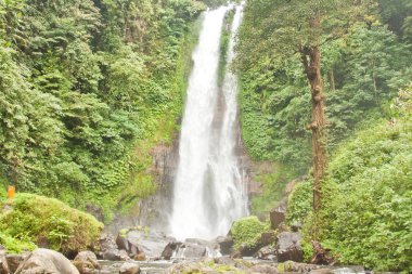 Gitgit Şelalesi, Bali, Endonezya