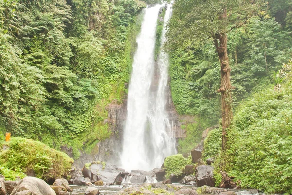 Cascata Gitgit Bali Indonesia — Foto Stock