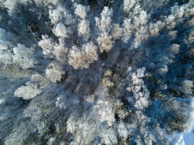 Kış orman havadan görünümü kar ve buz kaplı. Hava atışı.
