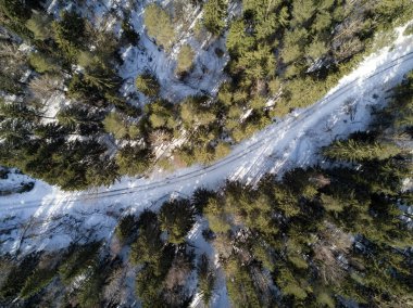 Bir dron bir ormandan boş yolda. Kış orman havadan görünümü kar ve buz kaplı. Hava atışı.