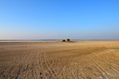 vast Clay flats in Wild Ass Sanctuary, Gujarat, India