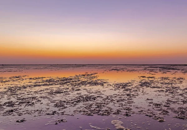 Kutch, Gujarat, Hindistan 'daki Little Rann' da Manzaralı Gün Batımı