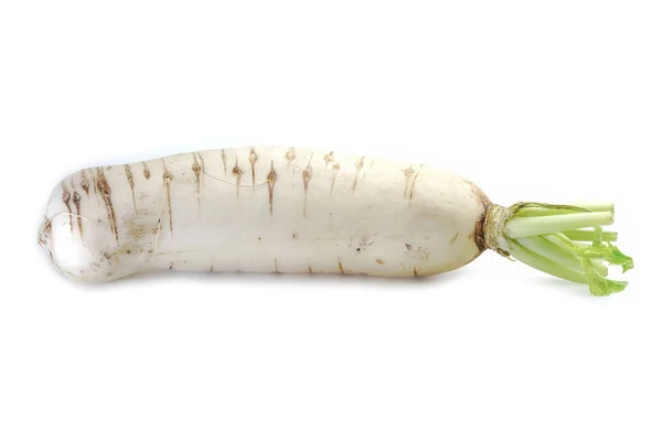 Rábano Chino Vegetal Sobre Fondo Blanco —  Fotos de Stock